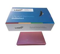 LAMU Organizador de fotos de 2 TB - Gestor de imágenes digital para Windows - Software incluido para organizar fácilmente tus fotos y videos - Almacenamiento de fotos digital - 2 terabytes (oro rosa)