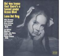 Did you know that there's a tunnel under Ocean Blvd (CD)