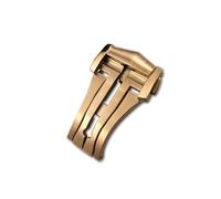 LANAPPTLTG Hebilla de reloj, cierre plegable, 16mm, 18mm, 20mm, apto for correa de cuero Omega, banda de goma, acero 316L, accesorios negros y plateados(Rose style 2,20mm)
