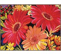 Lanarte Kit au Point compté Looking Fabulous, Algodón, N, 25 x 19cm