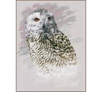Lanarte Kits De Punto De Cruz Contado Completo Arte De Pared DIY BUHO NIEVE Set Manualidades Adultos Set Decoracion Salon Creativo Regalo ca. 29 x 38 cm Cross Stitch Embroidery