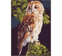 LANARTE Kits De Punto De Cruz Contado Completo Arte De Pared DIY BÚHO Set Manualidades Adultos Set Decoracion Salon Creativo Regalo ca. 24 x 34 cm Cross Stitch Embroidery
