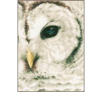 Lanarte Kits De Punto De Cruz Contado Completo Arte De Pared DIY BÚHO Set Manualidades Adultos Set Decoracion Salon Creativo Regalo ca. 19 x 26 cm Cross Stitch Embroidery