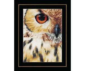 LANARTE Kits De Punto De Cruz Contado Completo Arte De Pared DIY BÚHO Set Manualidades Adultos Set Decoracion Salon Creativo Regalo ca. 19 x 26 cm Cross Stitch Embroidery