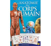 L'anatomie du corps humain: 24 grandes planches illustrées