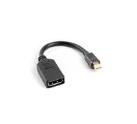 Lanberg Adaptador Mini DISPLAYPORT Macho A DISPLAYPORT Hembra AD-0003-BK RESOLUCION hasta 1920X1200 60HZ Cable 12 CM Negro