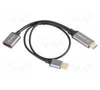 LANBERG AD-HD-DP-02 Adaptador