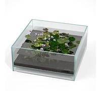 LANDEN Tanque de Aire de Vidrio para Acuario multiescena, Tanque Poco Profundo de Hierro sin Borde de 1.6 galones, 10.6 x 10.6 x 4.7 Pulgadas (27 x 27 x 12 cm), 5 mm de Grosor