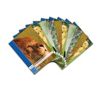 Landre 100050431 - Cuaderno de dibujo (A3, 20 hojas, 10 unidades, 4 diseños distintos)