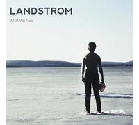 Landstrom - What We Saw [Vinilo]