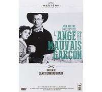 L'Ange et le mauvais garçon [Francia] [DVD]