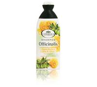 L'Angelica - Champú nutritivo, jalea real y aceite de oliva - 250 ml