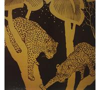 Langhorne Slim - Langhorne Slim [Vinilo]