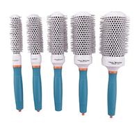 Lanko Peine de Rodillos Cepillos Profesionales para el Cabello de 5 TamañOs Peine Redondo Resistente a Altas Temperaturas Herramienta de Peinado Cepillo de Pelo