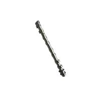 Lanliuhui Store 1 árbol de levas de admisión y escape N20 N26 N20B20 para motor Compatible con B*MW 1-5 X1 X3-X6 Z4 220i 320i(1PCS Exhaust)