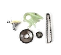 Lanliuhui Store Kit de guía de bomba de aceite y cadena de distribución compatible con BMW 228 528i 428i 320i X1 X3 X4 X5 N26 N20