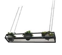 Lanmmraifc Estantería Flotante, Soporte metálico para Plantas Colgantes, maceteros y Botellas de Vino, Estante Decorativo para Techo para Cocina, Bar o balcón, Color Negro(60x25x15cm)