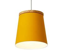 LANTANB Lámpara colgante de metal con diseño creativo, base E27, lámpara de araña de un solo cabezal, estilo industrial moderno, ideal para decorar dormitorios, comedores y pasillos.