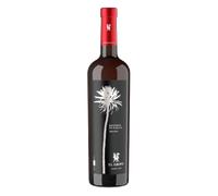 Lanzarote El Grifo Reserva de Familia 2022