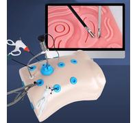 Laparoscopic Box Trainer Laparoscópica Cirugía Laparoscópica Entrenador Caja de Entrenador con 4 Instrumentos Quirúrgicos Y 10 Módulos de Entrenamiento para Juego de Simulación Quirúrgica