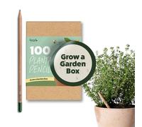 Lápices de madera SproutWorld | Edición Cultiva un Jardín | Lápices de madera con grafito preafilado HB plantable con 4 tipos de semillas surtidas | Madera certificada | Pack de 100 |