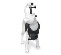 Lapiglo Arnés de chaleco para gato para montaje de cámara de doble acción, equipo trasero de pecho POV en primera persona para Osmo Go 3, soporte ajustable para fotos de mascotas de 1,5 a 6 kg