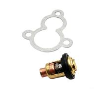 Lapiglo Termostato 60C con junta para motores fueraborda compatible con 66M-12411 68D-12414 67D-12414 Construcción de metal