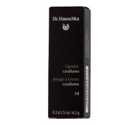 Lápiz labial Dr. Hauschka 14 Caralluma 4,1 g
