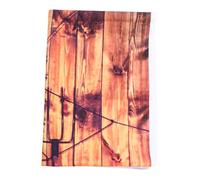 LAPYAPPE Fondo de Fotografía de Calabaza de Vinilo para Halloween, Tapiz Colgante Resistente y Plegable, Decoración Temática para Fiestas y Sesiones Fotográficas, 150x100 Cm