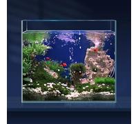 LAQUAL Acuario de Vidrio Ultra Claro de 6,5 Galones, Acuario Sin Marco de Vidrio Bajo en Hierro para Betta/Nano/Pez Dorado/Caracol/Camarón, Juego de Acuario & Tapa & Anillo de Alimentación