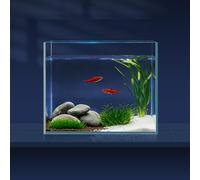 LAQUAL Kit Acuario de 7.6 L con Red, sifón & 2 paños de Limpieza, Cristal Transparente, pequeño Acuario para Betta y Peces Dorados, Bonita decoración del hogar