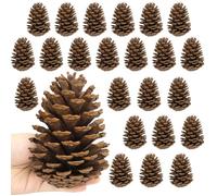 Larber 24 Piñas Naturales Grandes, 11-14cm para Árbol de Navidad, Artesanías, Mesas, Rellenos de Jarrones y Decoraciones Invernales (Sin Sabor)