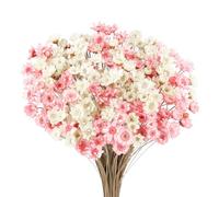 Larber 300 Piezas Flores Secas Brasileñas Flores Mini Flores Secas Naranja Flores Naturales de Gypsophila del Hogar Pequeña Estrella Decorativas (Blanco + Polvo)