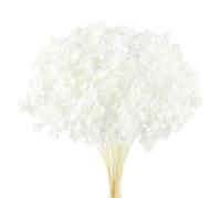 Larber 300 Piezas Flores Secas Brasileñas Flores Mini Flores Secas Naranja Flores Naturales de Gypsophila del Hogar Pequeña Estrella Decorativas (Blanco como la Nieve)