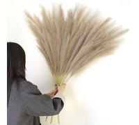 Larber 8Piezas Pampas Artificiales 113cm, Imitación Esponjosa de Flores Pampas Artificiales Pampas Secas Decoracion para Bodas en el Hogar (Marrón)