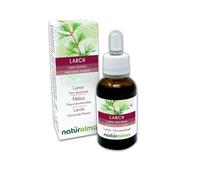 Larch o Alerce (Larix decidua) Remedios florales Naturalma - Gotas 30 ml - Extracto líquido sin alcohol - Esencias florales - Vegano y libre de alcohol