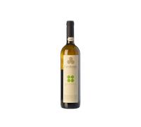 L'Archetipo Greco Bianco Salento 2024