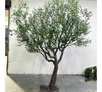 Large Faux Olive Tree with Natural Wood Trunk,Wood Trunk Fake Olive Tree for Home House Office Décor,for Home Office Room(5M)
