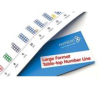 Large Format Table Top Number Line (Numicon Apparatus)