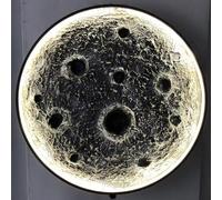 Large Moon Wall Light For Bedroom Indoor Dimmable LED Wall Sconce Contemporary Hallway Wall Lighting Fixtures Decorate Planet Meteorite Wall Lamp For Bedside Living Room Kitc