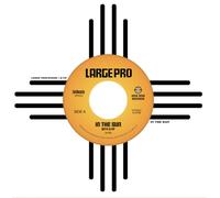 Large Professor - In the Sun [VINYL] [Vinilo]