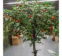 Large-Size Artificial Pomegranate Tree, Sturdy Metal Base Faux Fruit, Ornamental Simulation for Supermarket Area & Wedding Scene Layout(5mx4m)