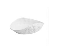 Large White Ceramic ShellShaped Serving Platter, 10Inch Rock Pattern Dish for Seafood and Snacks