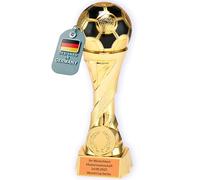 Larius Copa de fútbol en oro y plata con grabado personalizable (con texto personalizado, oro, XL)