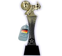 Larius Copa de fútbol ganadora (26 cm, 365 g) - Trofeo dorado con/sin grabado - Ideal para torneos, finales, campeonatos de clubes y cumpleaños infantiles - F4 (sin texto personalizado)