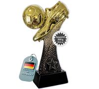 Larius Trofeo de fútbol de 16 a 21,5 cm (300 - 500 g) - Copa ganadora con/sin grabado - Copa de fútbol para niños y adultos - Torneo MVP Premio - F6 (sin texto personalizado, S)