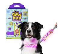 LaRoo Cinta luminosa LED de seguridad para perro, tipo C, recargable, con cierre de , fácil de fijar a la correa del collar y arnés, paseos nocturnos luminosos (uvas)