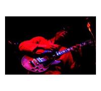 Larry Coryell - At the Village Gate