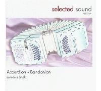 Lars-Luis Linek - Accordion Bandonion