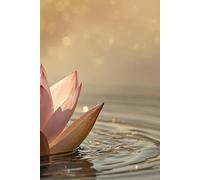 L'art d'organiser sa vie imparfaite: Le guide pour gérer son quotidien sans se prendre la tête